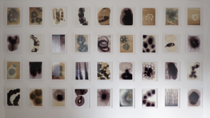 Anke Zurn: Blending Art and Science through Indigo Traditions