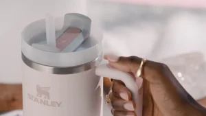 Stanley Cups and Social Media’s Insatiable Thirst for Things